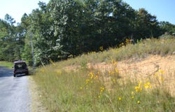 2156 Street Place Loop, Monterey, TN 38574