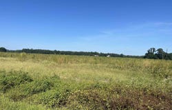 Highway 38, Blenheim, SC 29516