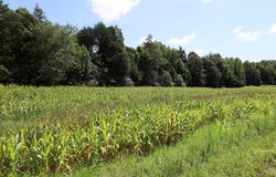 Hwy 69S, PARIS, TN 38344