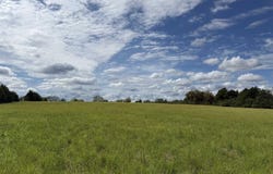 234 Bliss Road, Judsonia, AR 72081