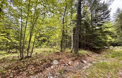 18-B Back Pasture Lane, Blue Hill, ME 04614