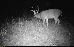 5 Forest Service Road 562, Pulaski, MS 39152