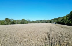 Rollin Kemp Rd, Columbia, KY 42728