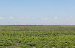 County Road 3, Mobeetie, TX 79061