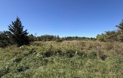 N STRAITS HIGHWAY, CHEBOYGAN, MI 49721