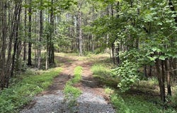 Ferry Road, Franklin, GA 30217