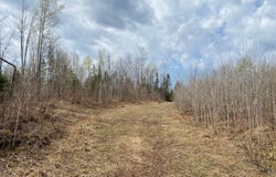 NEAR WILSON LAKE RD, Phillips, WI 54555