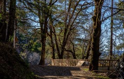 40643 Covelo Road, Willits, CA 95490