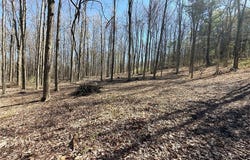 Fitzgerald Road, Burdett, NY 14818