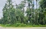 SUWANNEE OAKS Drive, O'Brien, FL 32071