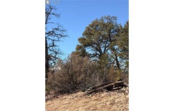 41st Trail, Cotopaxi, 81223