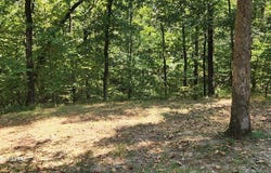 162 Stirling Rd, CAMDEN, TN 38320