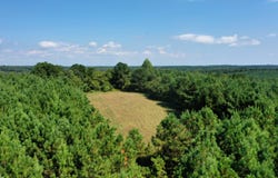 Tower Road, Franklin, GA 30240