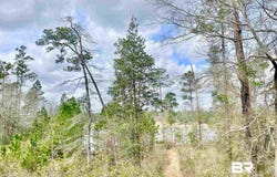 Lake Juniper Road, Brewton, AL 36426
