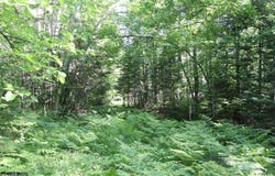 Sawmill Road, Kerrick, MN 55756