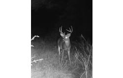 Bradley Road, Leakesville, MS 39451