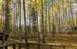 520 AUKLET PLACE, Fairbanks, AK 99709