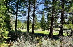 1034 Great Spirit lot: 406, Portola, CA 96122