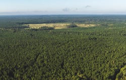 Bill Hubbard Rd, Braxton, MS 39044