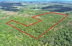 SE 1200 Road, Collins, MO 64738