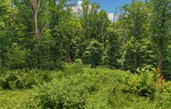 Hodge Lane, Gravette, AR 72736