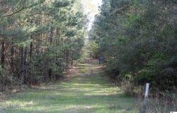 0C SHortstraw LONGSTRAW ROAD, Choudrant, LA 71227