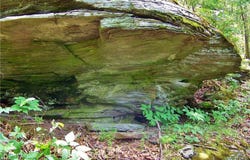 Co Hwy 48, Oneonta, NY 13820