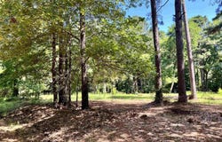 130 Dallas 216, Sparkman, AR 71763