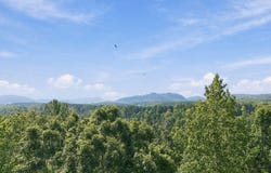 Nathan Mcdaniel Drive, Nebo, NC 28761
