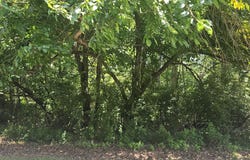 Longview Estates Dr lot: 2 & 3, Goodview, VA 24095