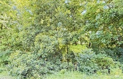 Beaver Dam Road, Killingworth, CT 06419