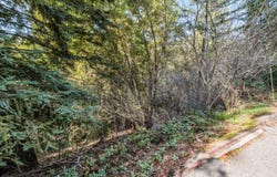 Lot 26 Lakeview AVE, FELTON, CA 95018