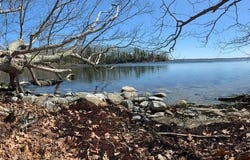 44 Schooner Drive, Stockton Springs, ME 04981