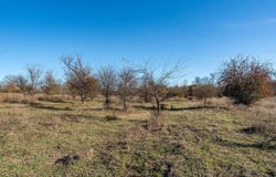 14461 County Road 46 (Lot 2), Tyler, TX 75704