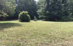 W MAPLE GROVE Road, Farwell, MI 48622