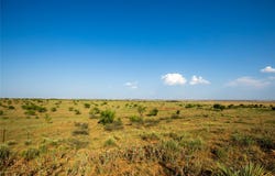 County Road 458, Colorado City, TX 79512