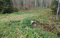 Deer River Line, Littlefork, MN 56653