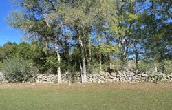 115 N John Bird, Blanco, TX 78606