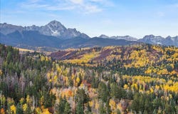 87 Which Way, Ridgway, CO 81432