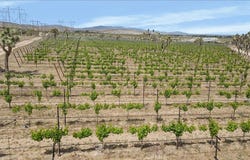 FT Tejon Vic 82nd st E, Palmdale, CA 91352