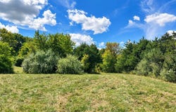Tract 6 5.57 State Road AA, Holts Summit, MO 65043
