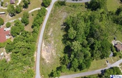 Trotti Ave lot: C & D, Chesterfield, SC 29709