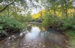 2605 KY 1094, Campton, KY 41301
