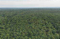 County Rd 2100, Mt Vernon, MO 65712