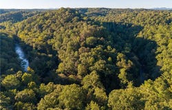 Lawrence Road, Dawsonville, GA 30534