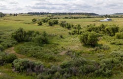 11771 E Smith Road, Elbert, CO 80106