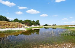 37 County Road 134, Mullin, TX 76864