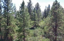 Margi Way, Chemult, OR 97624