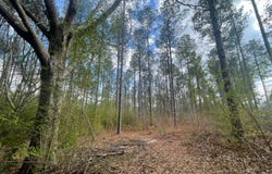 Cole Rd, Hattiesburg, MS 39402