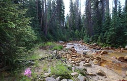 X1&2 Forest Service Road 380, Platoro, CO 81120